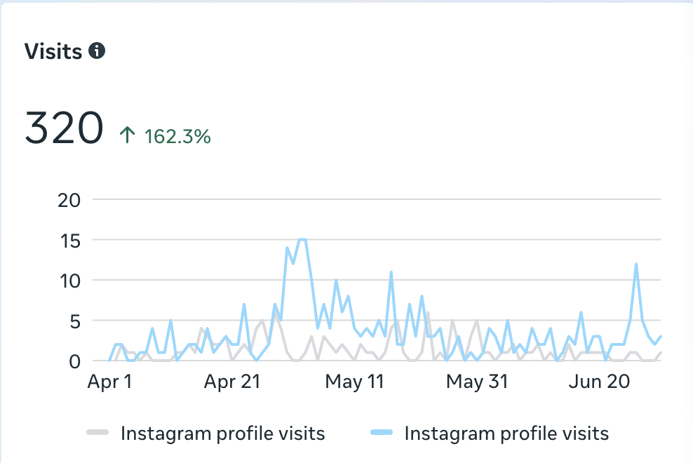 Instagram result screenshot